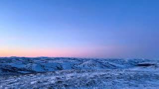 TRUE ALASKA SHED HUNTING #alaskanadventures #shedhunting