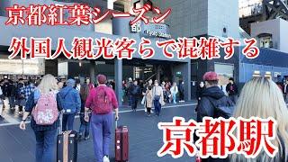 2024年11月21日（木） 【京都の紅葉シーズン】 外国人観光客が行き交う京都駅を歩く Walking around Kyoto Station 【4K】