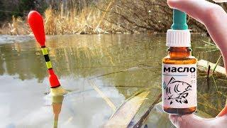 CATCHING CARP IN OIL! Fishing with a float rod on a small pond in May SIBERIA