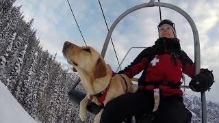 GoPro Awards: Telluride Avalanche Dogs