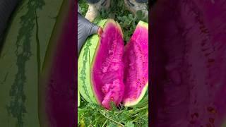 Chinese amazing watermelon #fruit #shorts #fyp #fypシ #chinese