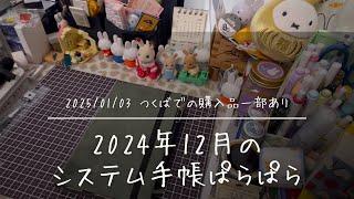 【システム手帳】2024年12月に使った手帳パラパラ【購入品紹介有り】