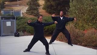 Different Aspects of Tai Chi Section 7 Teachers Tony Wong