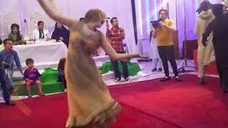 Afghan Herati girl nice dance in wedding 2019 with Farsi song Dilbar #desi  رقض زیبا دختر  افغانی