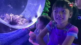 Wisata Edukasi | Zara Cute Mengenal Hewan Beracun di Jakarta Aquarium part 2 | Homeschooling