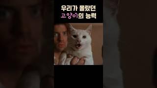 우리가 몰랐던 고양이의 능력 #미이라 #영화명장면 #영화