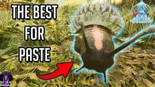 ACHATINA The PASTE Making Machine | Taming & Breed | Tips & Tricks Ark Survival Ascended ASA Guide!