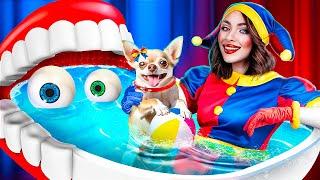 The Amazing Digital Circus Room for My Puppy! Pomni Saved a Dog