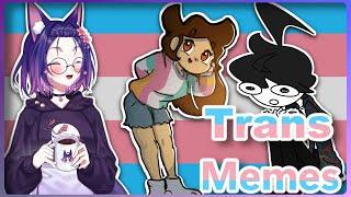 More Affirming TRANS Memes | r/traaaaaa2 & r/egg_irl