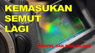 KAMERA JADI RUMAH SEMUT LAGI, 60D KEMASUKAN SEMUT