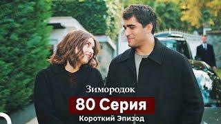 Зимородок 80 Cерия (Русский дубляж)