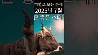 2027년 7월 소띠운세 띠별운세운 좋은 소띠 7월 운세 !  #띠별운세