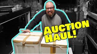 Aquarium fish auction unboxing!