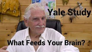 Dr. Robert Morse What Feeds Your Brain? Yale University Study - Neurological