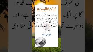 Nabi pak (saw) Nay Farmaya#urdu #poetry #explore #viralvideo#youtubeshorts