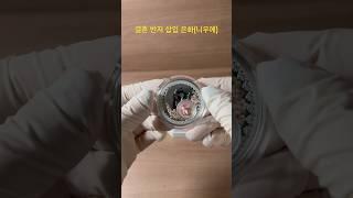 결혼반지 삽입 은화 #결혼 #반지 #은화 #화폐경매 #화폐수집 #영희