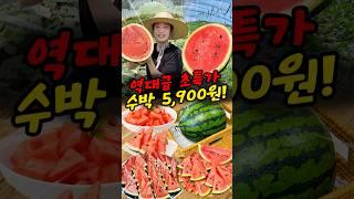 딱! 3일만 5,900원 특가! 구매 원하시면 댓글 달아주세요 