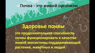 Что такое Здоровье Почвы. Старая, но хорошая лекция в университете 2019г.