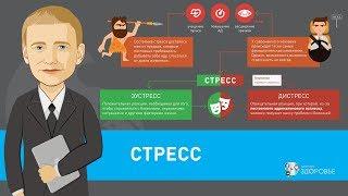 Стресс