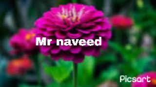 video background song no copyright Mr Naveed technical channel