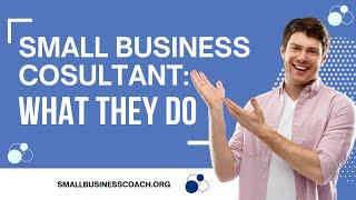 Small Business Consultant: What They Do