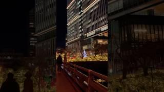 도쿄 아사카사미츠케 크리스마스 일루미네이션 tokyo christmas illumination クリスマスイルミネーション