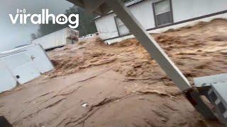 Deep Floodwater From Hurricane Helene Threatens Trailer Homes || ViralHog