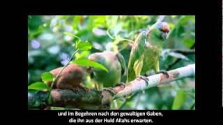 Wer ist der Glückselige - Sheikh Muhammad al-Mukhtaar ash-Shanqity