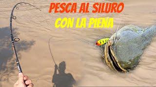 Pesca al Siluro con la Piena! ( cat fishing in a flood river )