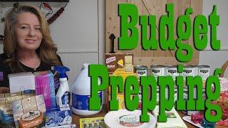 $30 Budget Prepper Pantry Stock Up from Dollar General