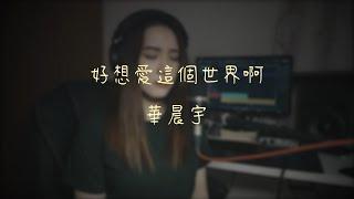 【凌晨一分】《好想愛這個世界啊》cover by 陳儀芬