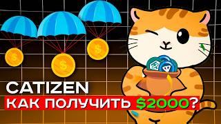 Как получить БОЛЬШОЙ аирдроп в Catizen? Разбираем критерии и новую игру Boombie!