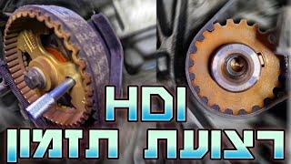 החלפת רצועת תזמון במנועי HDi [פיג'ו, סיטרואן, DS, Ford]