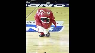 Funniest Mascots 