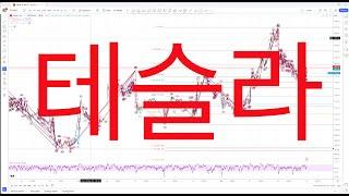 [테슬라] 단기적인 파동 움직임과 울트라 장기 관점을 살펴봅니다.  2024 10 26