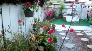 Riêng Một Góc Vườn