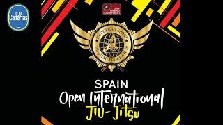 HIGHLIGHTS Spain Open International SJJIF