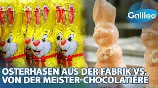 35Mio. Schokohasen pro Jahr! Osterhasen aus der Fabrik vs. von der Meister-Chocolatière