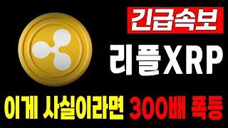 [리플 전망] 리플 역대급 호재 이게 사실이라면 폭등합니다 트럼프 2기 정부  #긴급속보 #리플 #XRP #SEC #리플소송 #코인의대가 #갈링하우스 #RLUSD #리플스테이블코인