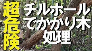 木の切り方・林業林業関連で人身事故が最も多い危険なかかり木の処理（人身事故＝年間50名ほど）・絶対にやってはいけない処理方法5選・チルホールを使った安全なかかり木の処理