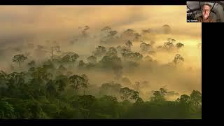 Discover Rainforest Photography with Nick Garbutt & Alex Hyde, 6 March 2024