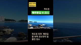 해파랑길 41코스 #죽도정 #해안길 #걷기코스 #죽도암 #걷기맛집