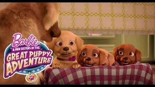 Meet Honey, Rookie, and DJ | Barbie & Her Sisters in a Great Puppy Adventure | @Barbie