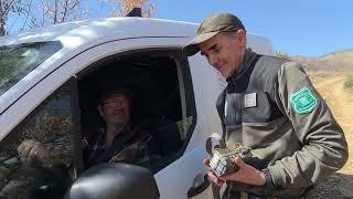 Els Agents Rurals instal·len mitja dotzena de càmeres a Castell de Mur per intentar captar al llop