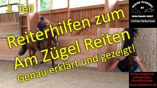 F118 Was heißt Pferde durchs Genick reiten/Pferde am Zügel reiten? Pferde richtig rund reiten lernen