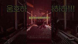 캣냅아...?