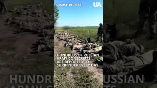 Russian Flags Put Down, Conscripts Surrender in Kursk Region #kursk #ukraine #offensive