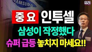 ️인투셀 - 300% 갈 급등 이제 시작입니다!! 주주분들 ADC 대장주... 수익 물량 확보 꼭 하셔야합니다!!