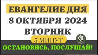 8 ОКТЯБРЯ ВТОРНИК ЕВАНГЕЛИЕ ДНЯ 5 МИНУТ АПОСТОЛ МОЛИТВЫ 2024 #мирправославия