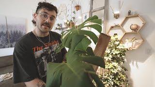 julien's plant tour (2021)